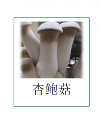 重庆市黔江区项目