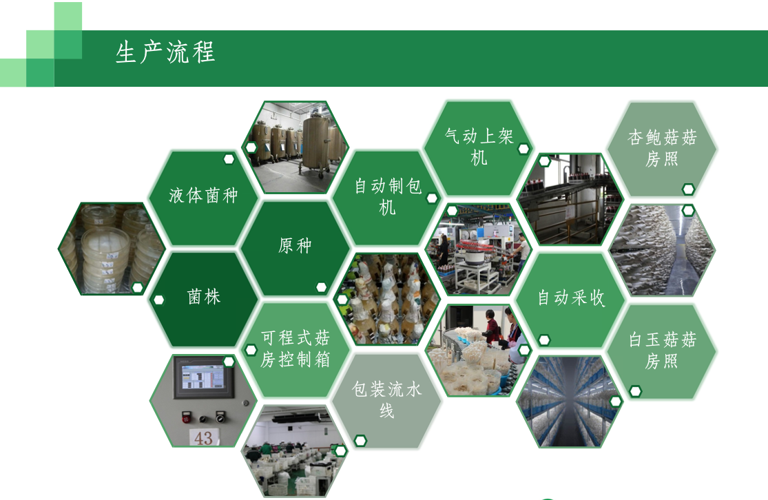 高效循环型工厂化食用菌现代农业总部园区综合体建设项目(图4) 1-230612102641935.png