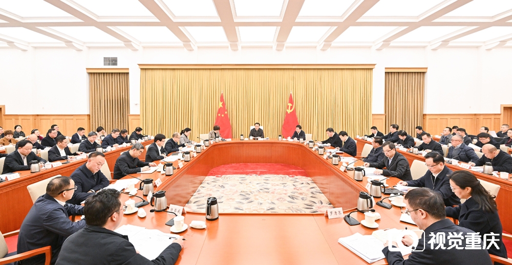 重庆市委召开党外人士座谈会 袁家军主持并讲话 胡衡华程丽华出席(图1)
